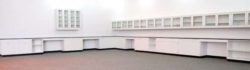 53' Fisher Laboratory Cabinets w/ Glass Wall Units