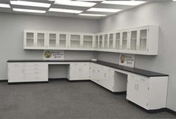 29' Base x 24' Wall Fisher American Laboratory Cabinets