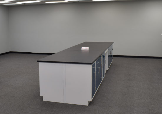 Laboratory island with desk area.