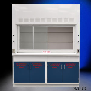 6′ Fisher American Fume Hood w/ Flammable & Acid Storage nls613