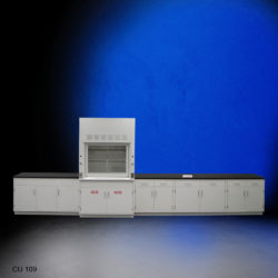 4' Fisher American Fume Hood with ACID Storage and 15' Laboratory Cabinets (CU-109)