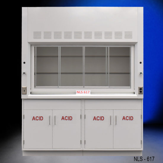 6' Fisher American Laboratory Fume Hood w/ Acid Storage Cabinets (NLS-617)