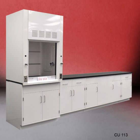 Angled view of 3′ Fisher American Fume Hood w/ 10′ Cabinets & General Storage