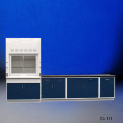 4' Fisher American Fume Hood w/ General Storage & 14' Laboratory Cabinet Group (CU-131)