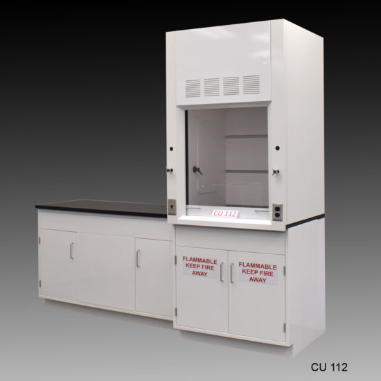 3′ Fisher American Fume Hood w/ Acid Storage & 5′ Cabinets at slight angle