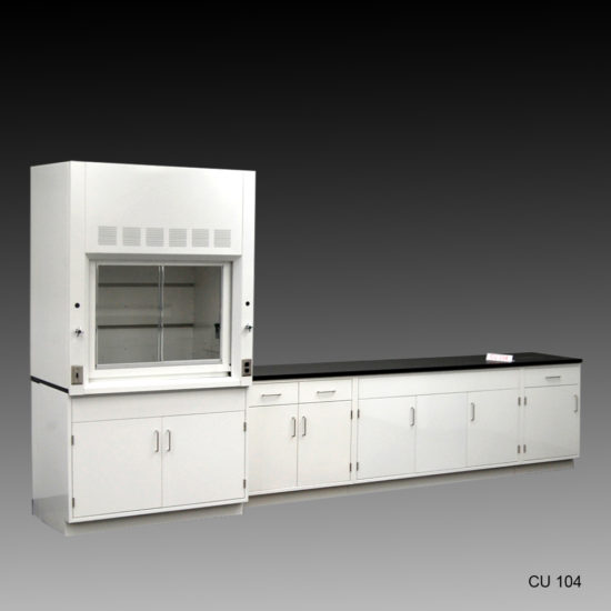 : 4' Fisher American Fume Hood w/ 10' Cabinets