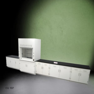 4' Fisher American Fume Hood w/ 15' Cabinets at an angle