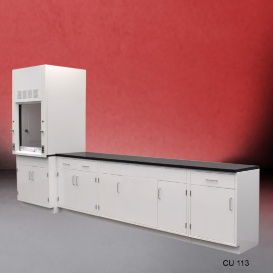 Angled view of 3′ Fisher American Fume Hood w/ 10′ Cabinets & General Storage