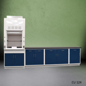 3' Fisher American Fume Hood w/ 9' Cabinets Front