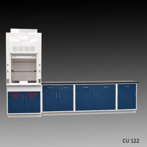 3′ Fisher American Fume Hood w/ Flammable Storage & 9′ Cabinets Full View