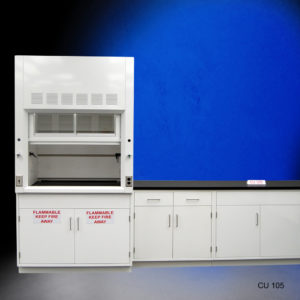 4′ Fisher American Fume Hood w/ Flammable Storage & 10′ Cabinets Front