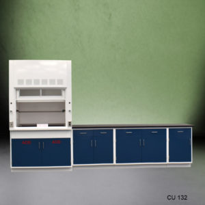 4′ Fisher American Fume Hood w/ Acid Storage & 9′ Cabinets