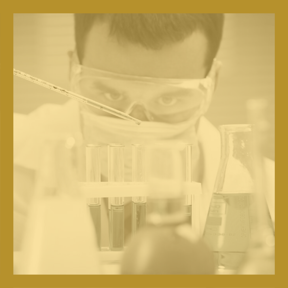 What is a fume hood sash?