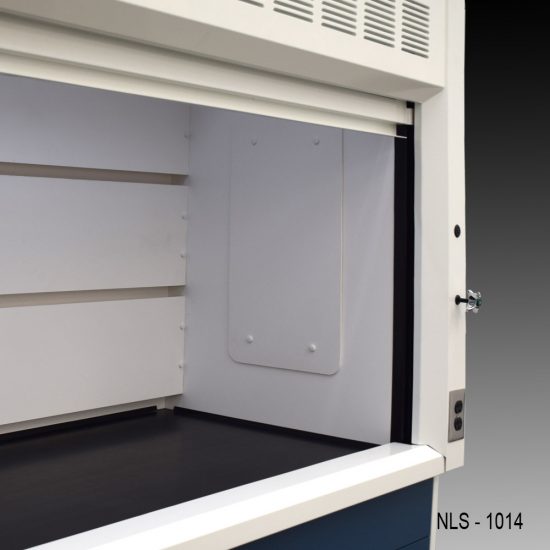 Inside Right back corner 10' Fisher American Fume Hood w/ ACID & Flammable Storage