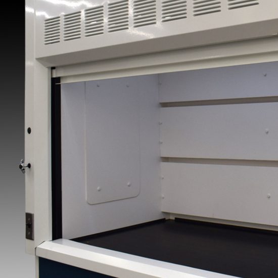 Inside left back corner 10' Fisher American Fume Hood w/ ACID & Flammable Storage