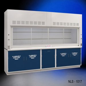 Angle Closed 10' Fisher American Fume Hood w/ Flammable Storage Cabinets