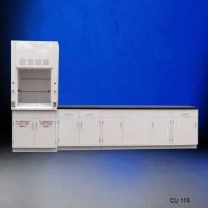 Front Facing View 3' Fisher American Fume Hood w/ 10' Cabinets
