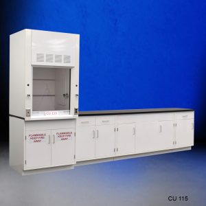 Front Angle View Full 3' Fisher American Fume Hood w/ 10' Cabinets