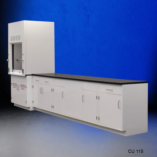 Front Angle 3' Fisher American Fume Hood w/ 10' Cabinets
