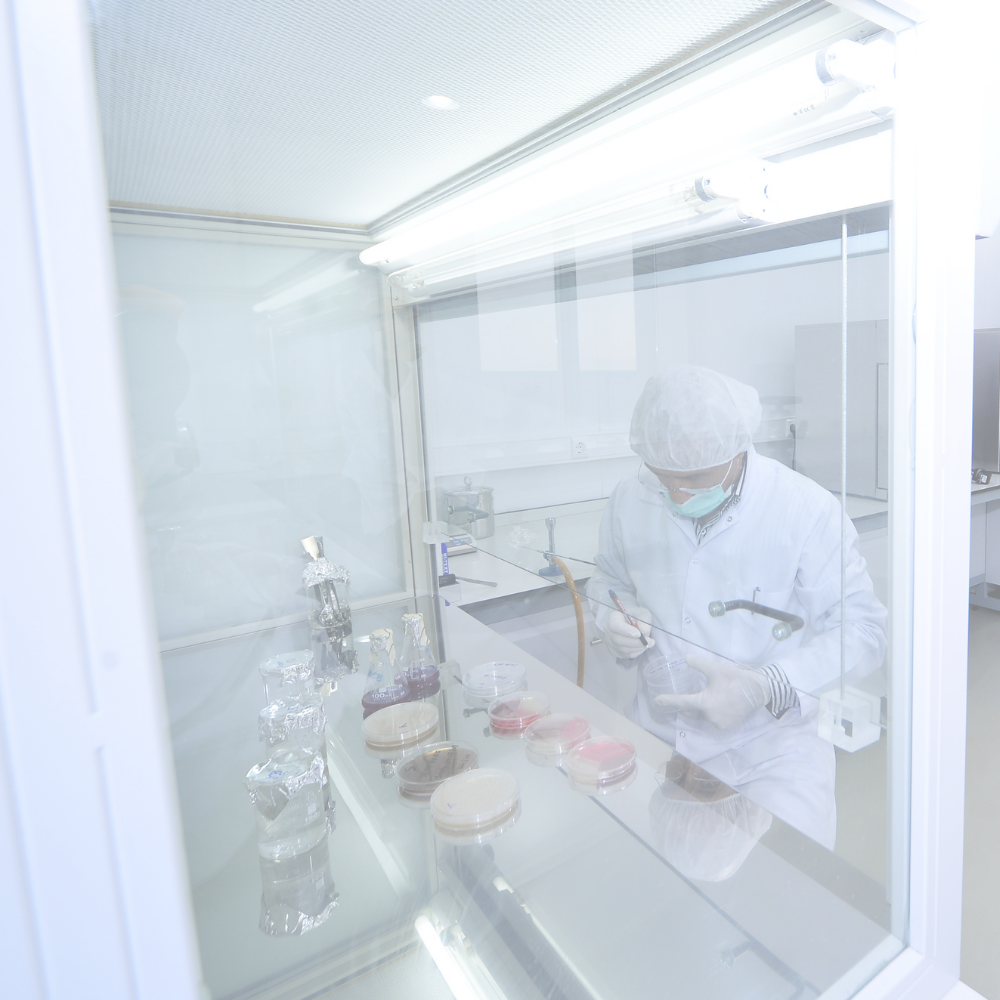 a person in full protective gear, including a lab coat, gloves, and a face mask, is working inside a fume hood. The fume hood is equipped with lighting on the top and has a clear glass sash, which is raised, allowing access to the interior workspace. Inside, there are petri dishes and laboratory equipment, indicating that the individual is likely conducting experiments or handling sensitive materials that require containment.