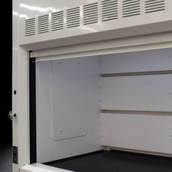 Inside left corner 10' Fisher American Laboratory Fume Hood w/ Flammable & General Storage